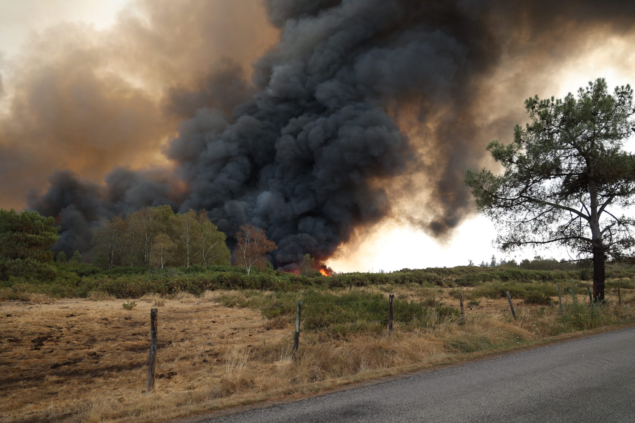 Un Incendie Important En Forêt De Brocéliande Sdis56sdis 56 Sapeurs